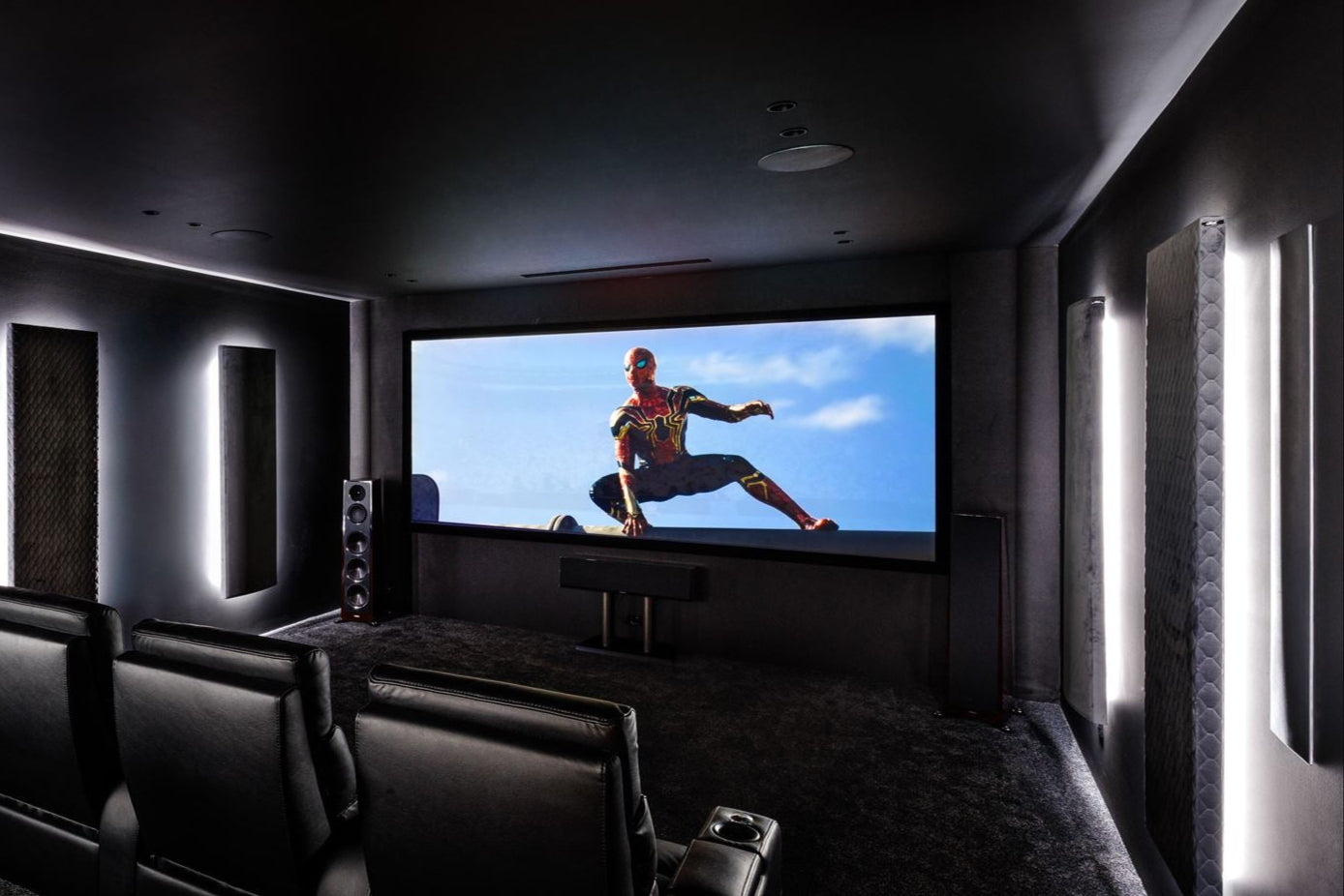 DTX Digital Vision Matte White 2.39:1 CinemaScope Projector Screen