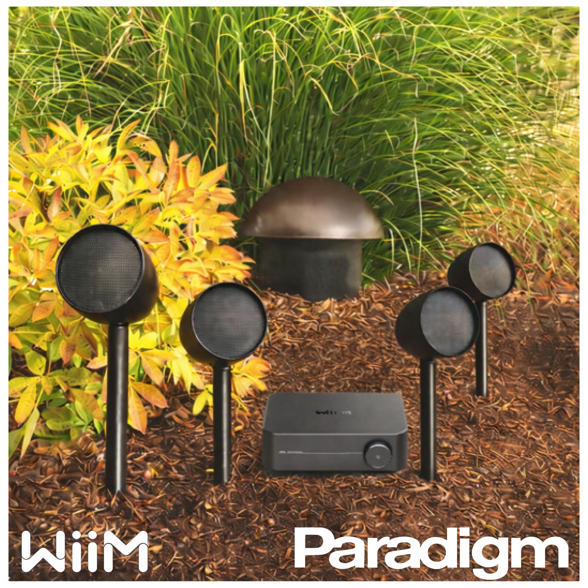 Landscape Music Kit! - Value Bundle - 4 Speakers + 1 Sub + Wiim Streaming Amp + Cable