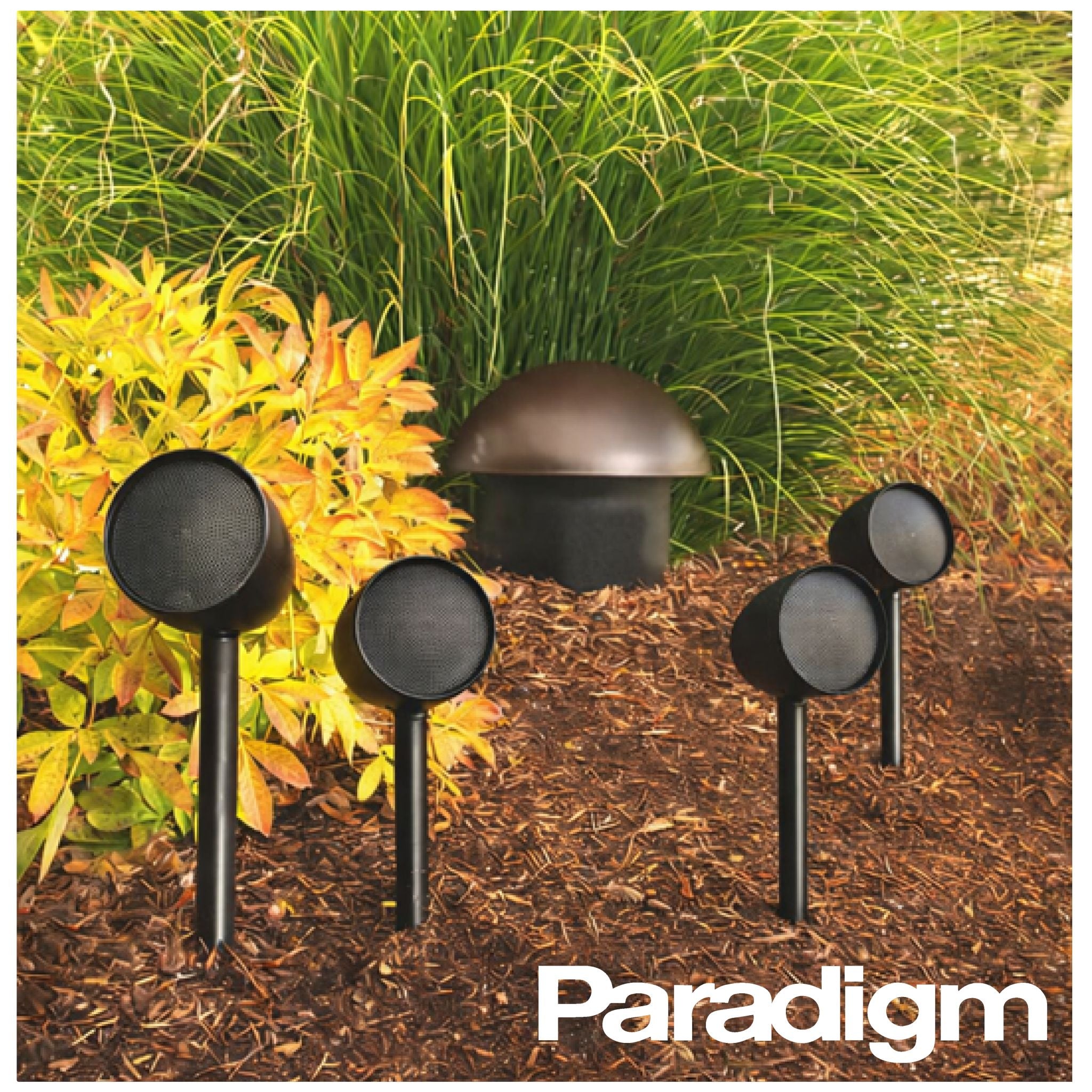 Landscape Speaker Kit! - Value Bundle - 4 Speakers + 1 Sub + Cable