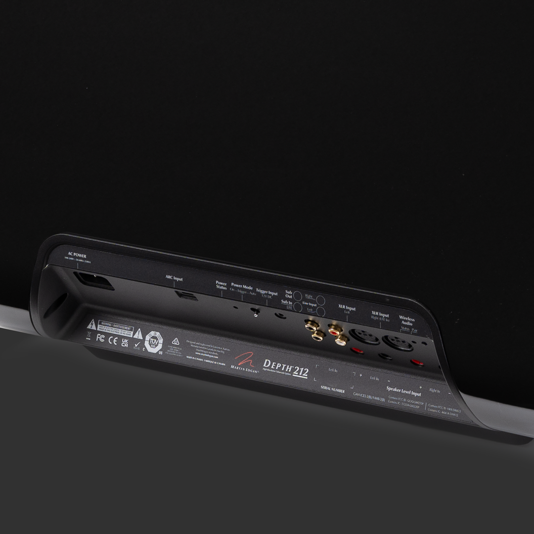 Martin Logan Depth 212 Subwoofer connections