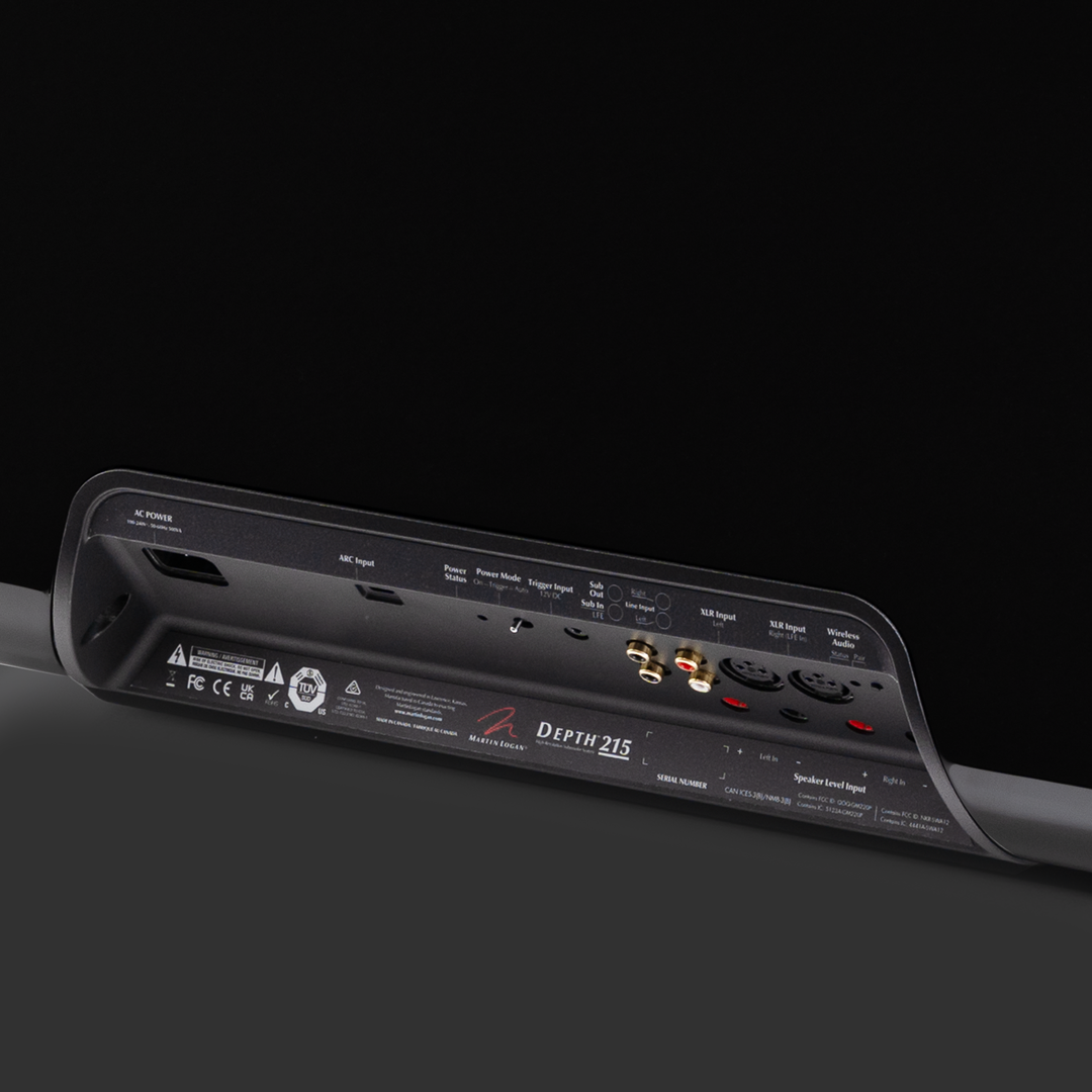Martin Logan Depth 215 Subwoofer connections